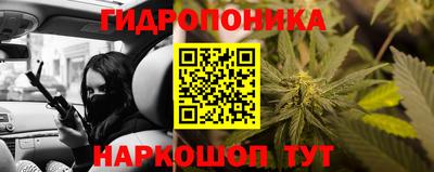 дурь Бийск
