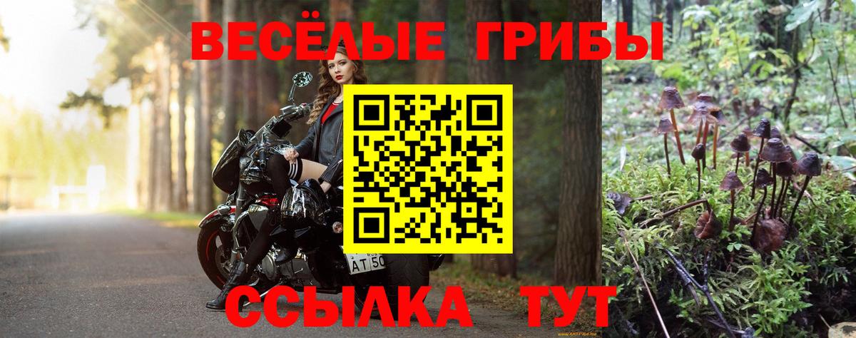 Камень-на-Оби  Галлюциногенные грибы мицелий  Вход с VPN 